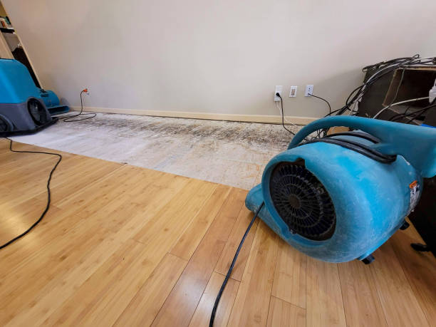 Professional Burst Pipe Water Damage technician working in Buckingham, PA